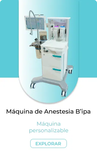 bipa2